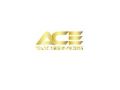 Ace Tax Services