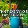 Pest Control Land O Lakes