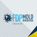 FDP Mold Remediation of Catonsville
