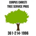 Corpus Christi Tree Service Pros