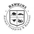 Hawkins Animal Trapping and Removal