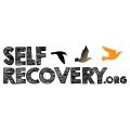 Self Recovery: The Online Addiction Program