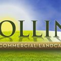 Collins Landcare