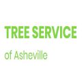 Tree Service of Asheville