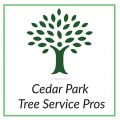 Cedar Park Tree Service Pros