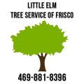 Little Elm Tree Service of Frisco