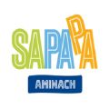 Sapapa. com Recliner Couch