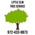 Little Elm Tree Service