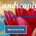 Rocklin Landscaping Pro