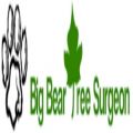 Big Bear Tree Surgeon