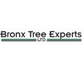 Bronx Tree Experts LTD