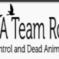 Raccoon, Rodent, Wildlife Trapping, Control & Attic Cleaning By A Team Services