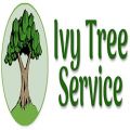 Ivy Tree Service