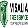 Visalia Tree Service Pros