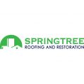 Springtree Restoration