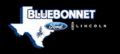 Bluebonnet Ford