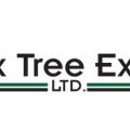 Bronx Tree Experts LTD