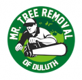 Mr. Tree Removal of Duluth