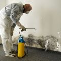 Mold Testing and Removal