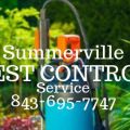 Summerville Pest Control Service