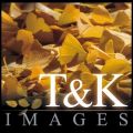 T&K Images - Fine Art Photography Prints