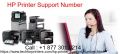HP Printer Support Number