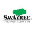 SavATree - Tree Service & Lawn Care