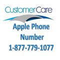 Apple Phone Number