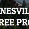 Gainesville Tree Pro