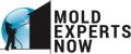 MOLD EXPERTS NOW