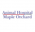 Animal Hospital Maple Orchard