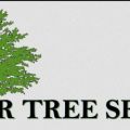 Lenoir Tree Service
