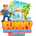 SUNNY Pressure washing