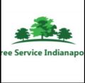 Tree Service Indianapolis