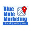 Blue Mule Marketing