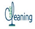Cleaning Craze LLC