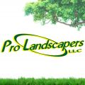 Pro Landscapers LLC