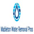 Mableton Water Removal Pros