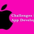 What are the Challenges in iOS App Development?