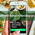 How Much Will It Cost to Develop an App Like Ubereats