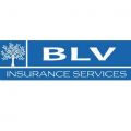 BLV Insurance Services