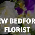 New Bedford Florist