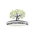 Best Montgomery Tree Service