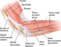 NYC Elbow Injuries Treatment Doctor Specialist · Sports Pain Management Clinic