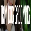 Trim Dog Grooming