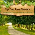 Tip Top Tree Removal