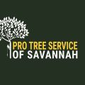 Pro Tree Service of Savannah