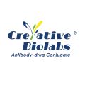 Creative Biolabs