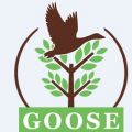 Goose Tree Company