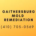 Gaithersburg Mold Remediation